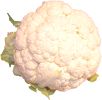 kalafior